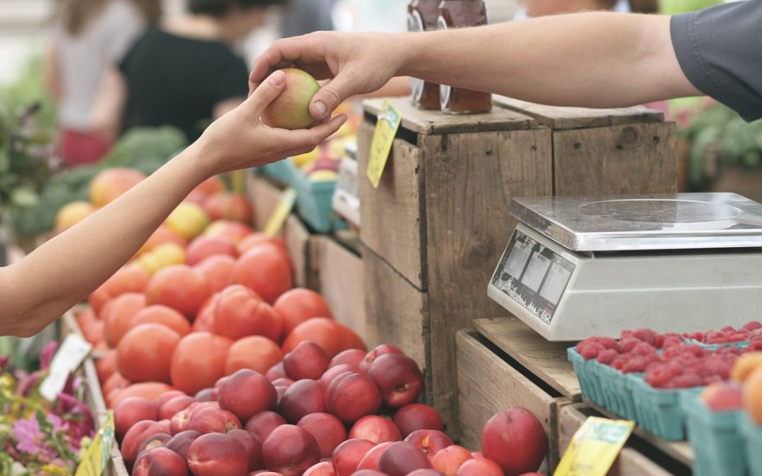 From shopping at the Farmer’s Market to reducing plastic, here are some ways to give back this fall
