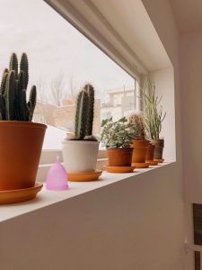 menstrual cup potted plants