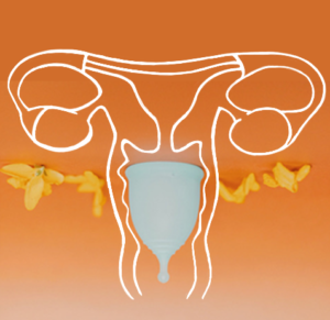 low cervix image