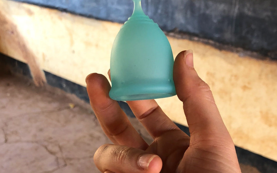 Menstrual cup donation (2 cups)