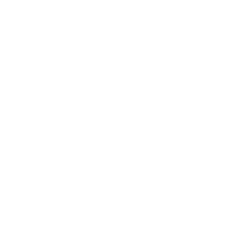 Pixie Menstrual Cups protection