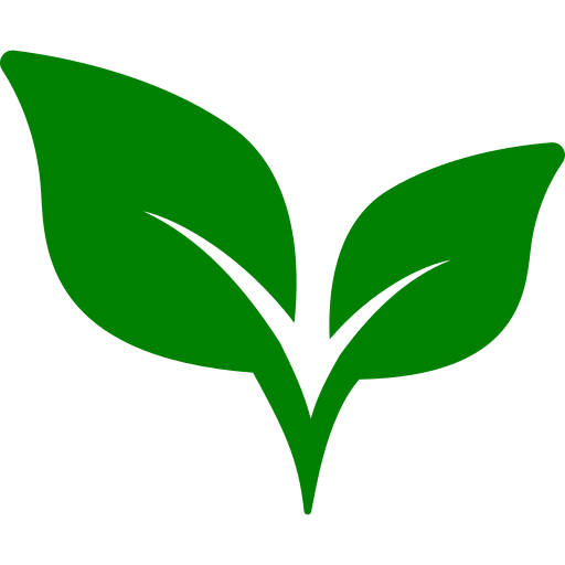 Pixie Menstrual Cups protection
