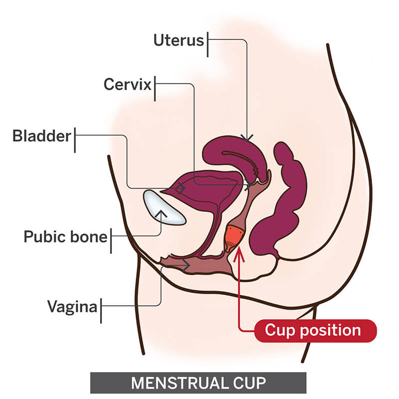 Inserting a cup for the first time can be intimidating