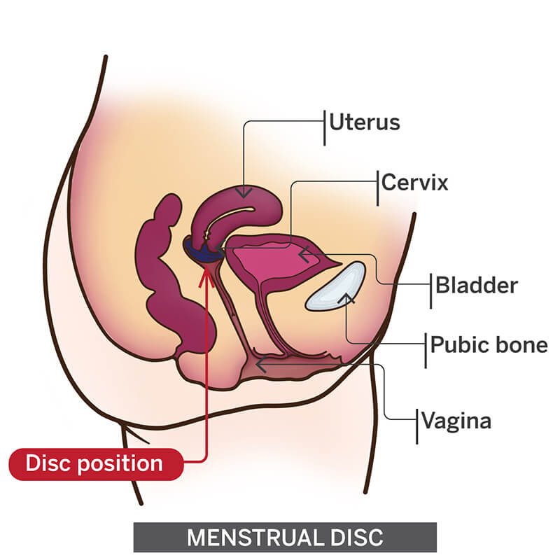 There is a slight learning curve when it comes to inserting a disc. 