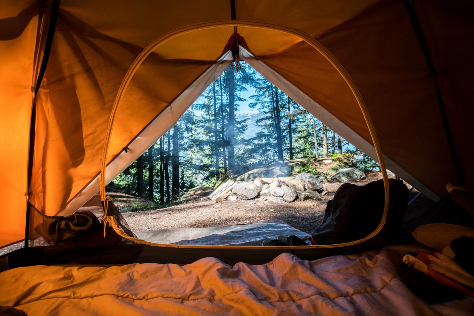 forest view from inside a tent