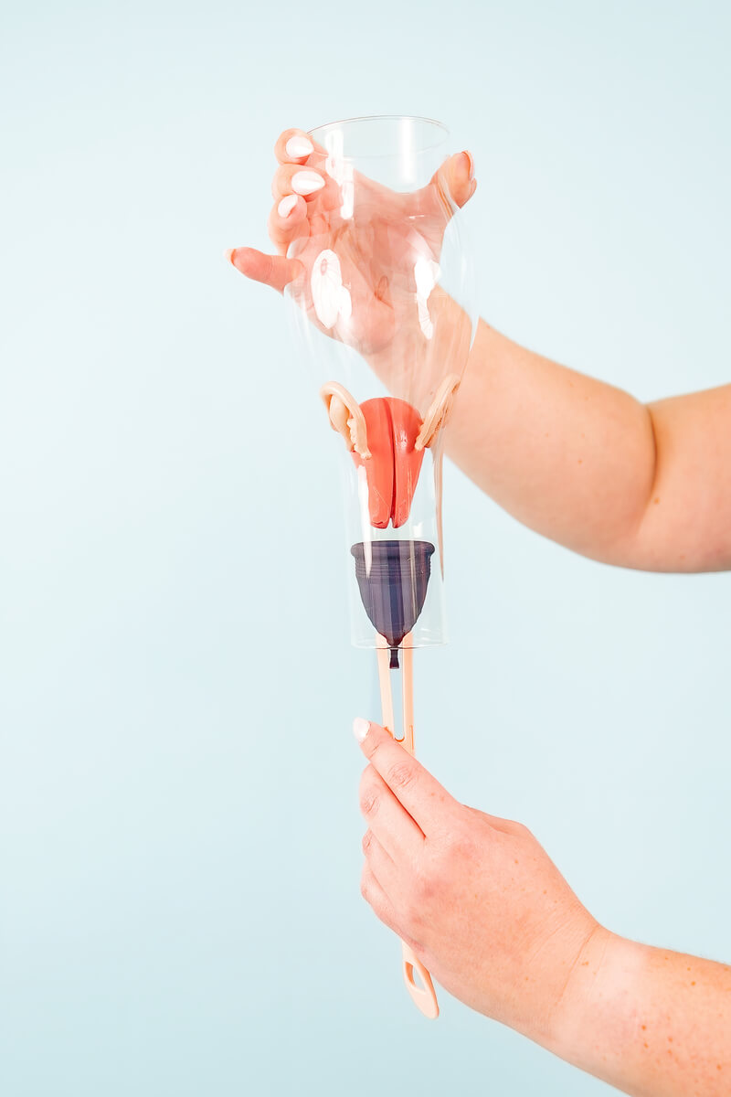 Illustration showing a woman's hands releasing the Pixie Cup into place for a secure and comfortable fit.