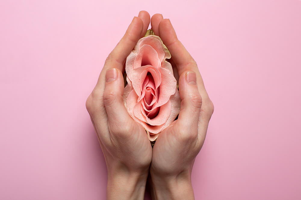 image of woman holding rose in hands representing reproductive system
