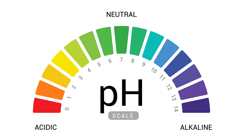 visual representation of vaginal ph levels